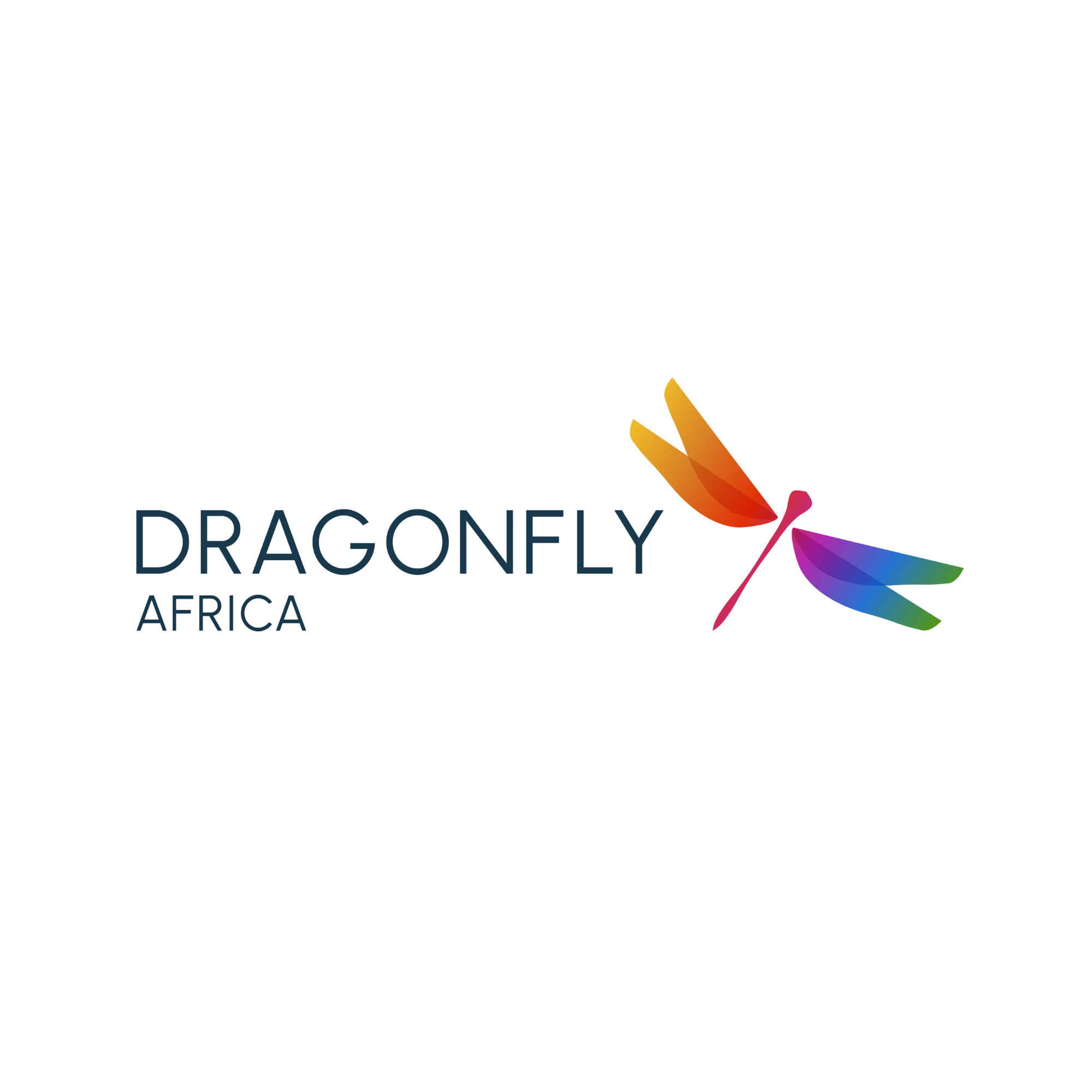 Dragonfly Africa